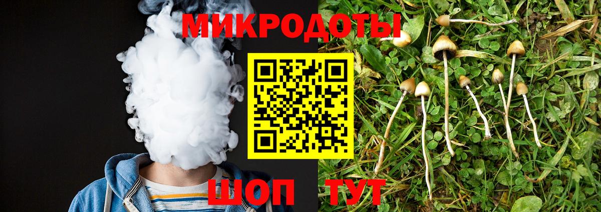 Прокопьевск  Галлюциногенные грибы Psilocybe  Вход с VPN 